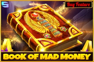 22287 book of mad money